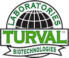 TURVAL